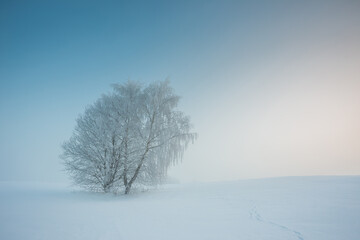 Fototapeta na wymiar Winter landscape with fog. Warm cold sunrise landscape