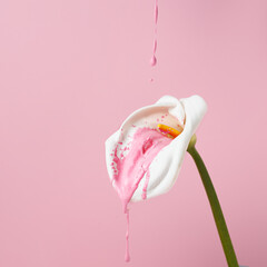 Creative spring layout made of calla lily flower with dripping pink paint on pastel background....