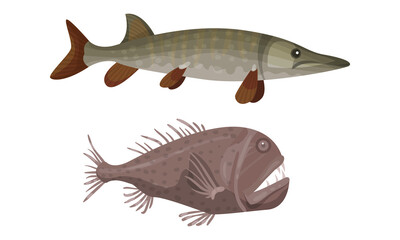 Fish from Deep Sea as Gill-bearing Aquatic Animals Vector Set