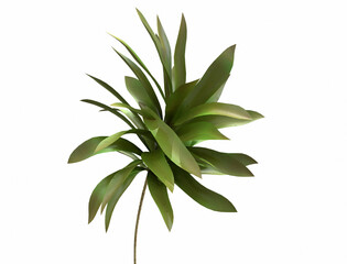 Tropical palm leaves on white background - 3d render. Natural composition of the branches for advertising, presentation design, wallpaper, products. Fashionable botany and organic with copy space.