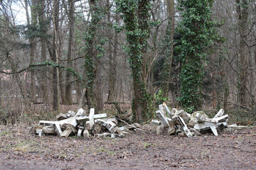 Construction waste and debris dumped in nature