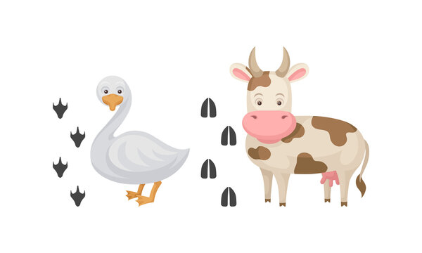 Domestic Animal with Cow and Goose and Their Footprints Vector Set