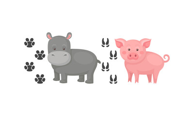 Wild and Domestic Animal with Hippo and Pig and Their Footprints Vector Set