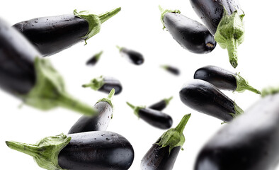 Obraz na płótnie Canvas Ripe eggplants levitate on a white background