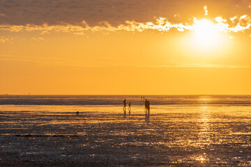 The National Park Wadden Sea by Cuxhaven