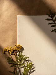 Blank greeting card, invitation and dried flowers in morning sunlight on brown craft paper background, flat lay, top view.