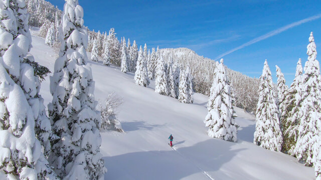 AERIAL: Spectacular nature surrounds ski tourer making her way up a mountain.