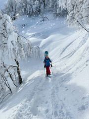 Fototapeta na wymiar VERTICAL: Fit woman on snowboarding adventure snowshoes up a mountain trail.