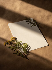 Blank greeting card, invitation and dried flowers in morning sunlight on brown craft paper background, flat lay, top view.