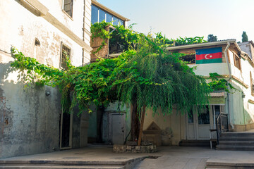 Fototapeta na wymiar Beautiful green street in old city of Baku, Azerbaijan