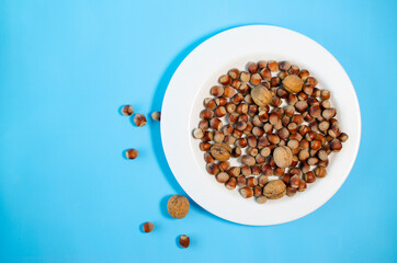 walnuts and hazelnuts on a white plate blue background