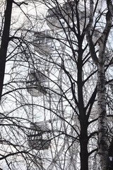 park in winter. Ferris wheel attraction, Ferris wheel, in winter on the background of the branches of the trees of the park without leaves