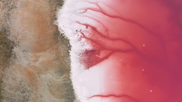 Aerial view of the salty pink lake. Pink Salt Lake Torrevieja