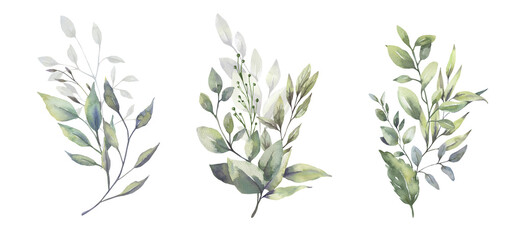 Watercolor floral illustration set - green leaf branches bouquets collection, for wedding stationary, greetings, wallpapers, fashion, background. Eucalyptus, olive, green leaves, etc. High quality © Olesya Frolova