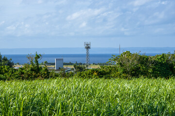 サトウキビ畑の先に広がる海と携帯電話のアンテナと飛行場