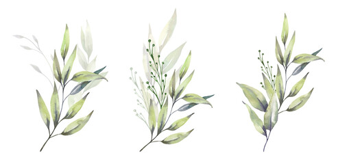 Watercolor floral illustration set - green leaf branches bouquets collection, for wedding stationary, greetings, wallpapers, fashion, background. Eucalyptus, olive, green leaves, etc. High quality