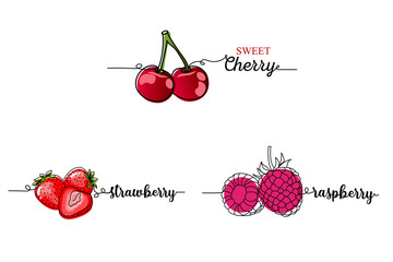Set of a continuous one line drawing silhouette of a berries strawberry, cherry, raspberry. Vector illustration isolated on the white background. © Yana