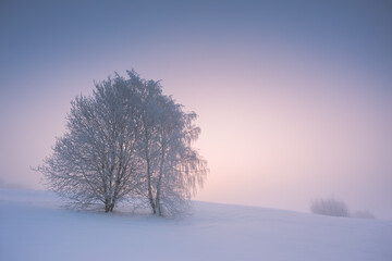 Fototapeta na wymiar Winter landscape with fog. Warm cold sunrise landscape