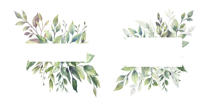 Watercolor floral illustration set - green leaf Frame collection, for wedding stationary, greetings, wallpapers, fashion, background. Eucalyptus, olive, green leaves, etc. High quality illustration