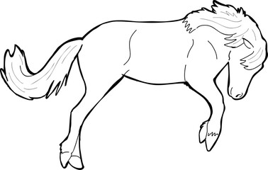 Vector illustration of a horse in black and white