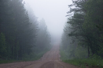 Fototapeta na wymiar Dirt forest road in the early autumn morning, leaving in a thick white milky fog.