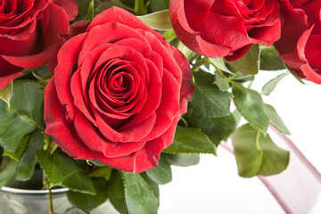 Rose, a different angle view in the portfolio.