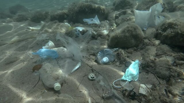 Dead Greater weever fish (Trachinus draco) hitting trapped in plastic bag lies inside plastic bag on the seabed among the medical face mask, plastic and other garbage. Plastic pollution of Ocean.  