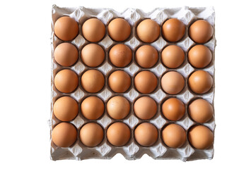 Brown chicken eggs in egg carton tray with for thirty eggs on white isolated background , Top view