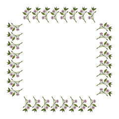 Square frame with sakura branches. Doodle style. Vector image.
