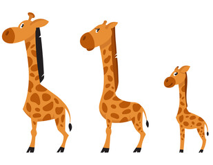 Fototapeta premium Giraffe family side view. African animals in cartoon style.
