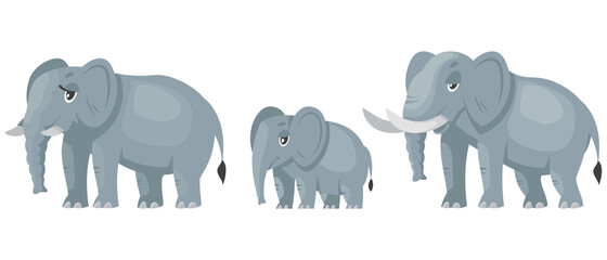 Elephant family three quarter view. African animals in cartoon style.