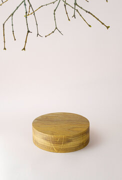 Background with wooden geometric shape podium and branches. Wooden round cylinder shape form for eco product. Empty showcase in minimal style. Abstract pastel mock up for cosmetic.