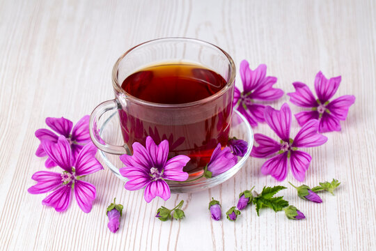 Mallow herb (Malva Vulgaris) mallow flower tea in cup.