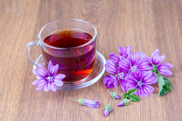 Mallow herb (Malva Vulgaris) mallow flower tea in cup.