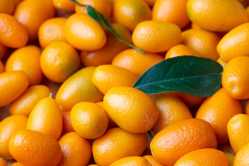 Top view of bunch of fresh kumquats in the organic food market. Some kumquats is cutted