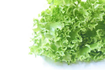 fresh green lettuce vegetable salad with drop of water arranging on white background