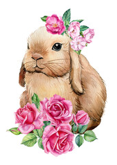 Bunny with pink flowers on white isolated background, watercolor illustration