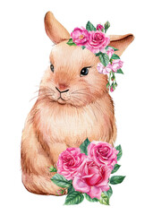 Bunny with pink flowers on white isolated background, watercolor illustration