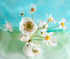 Obraz premium chamomile flowers, pastry flowers, sweet bouquet