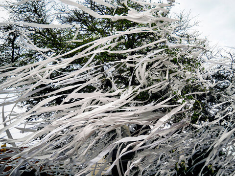 Toilet Paper Tree