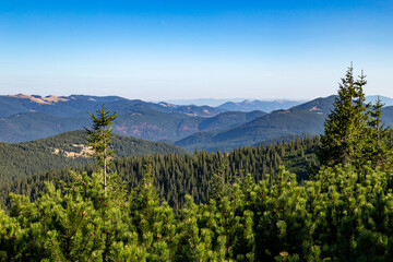 Carpathian mountains landscape from a Hoverla mountain with tree tops visible on the forest covered lesser mountains.