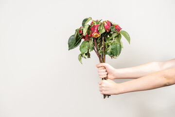 stingy man gives withered flowers. hands close up and place for text
