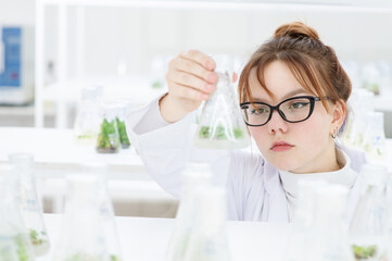 In a biological laboratory, a girl assistant examines test tubes with grown plants. Eco-friendly plants for farms