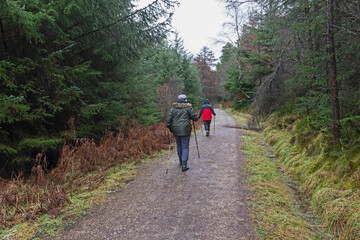 Couple walking on footpath through rural countryside woodland