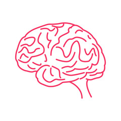 human brain illustration, Human brain icon in line style.