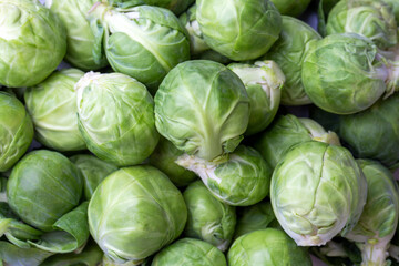 Fototapeta na wymiar Green fresh brussels sprouts on the white background
