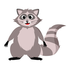 Raccoon