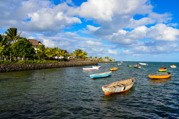 Fototapeta na wymiar heavenly landscape on mauritius island