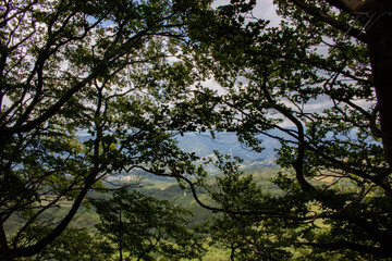Monte Fumaiolo