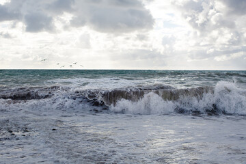 Big wave near the shore
